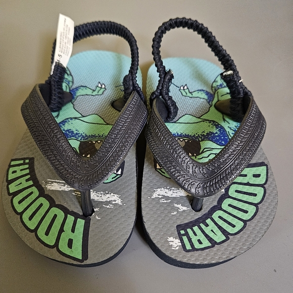 ROOOAR Slippers - Picture 1 of 4